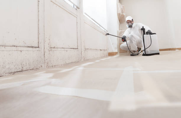 24/7 Emergency Mold Removal experts in Cabin John, MD
